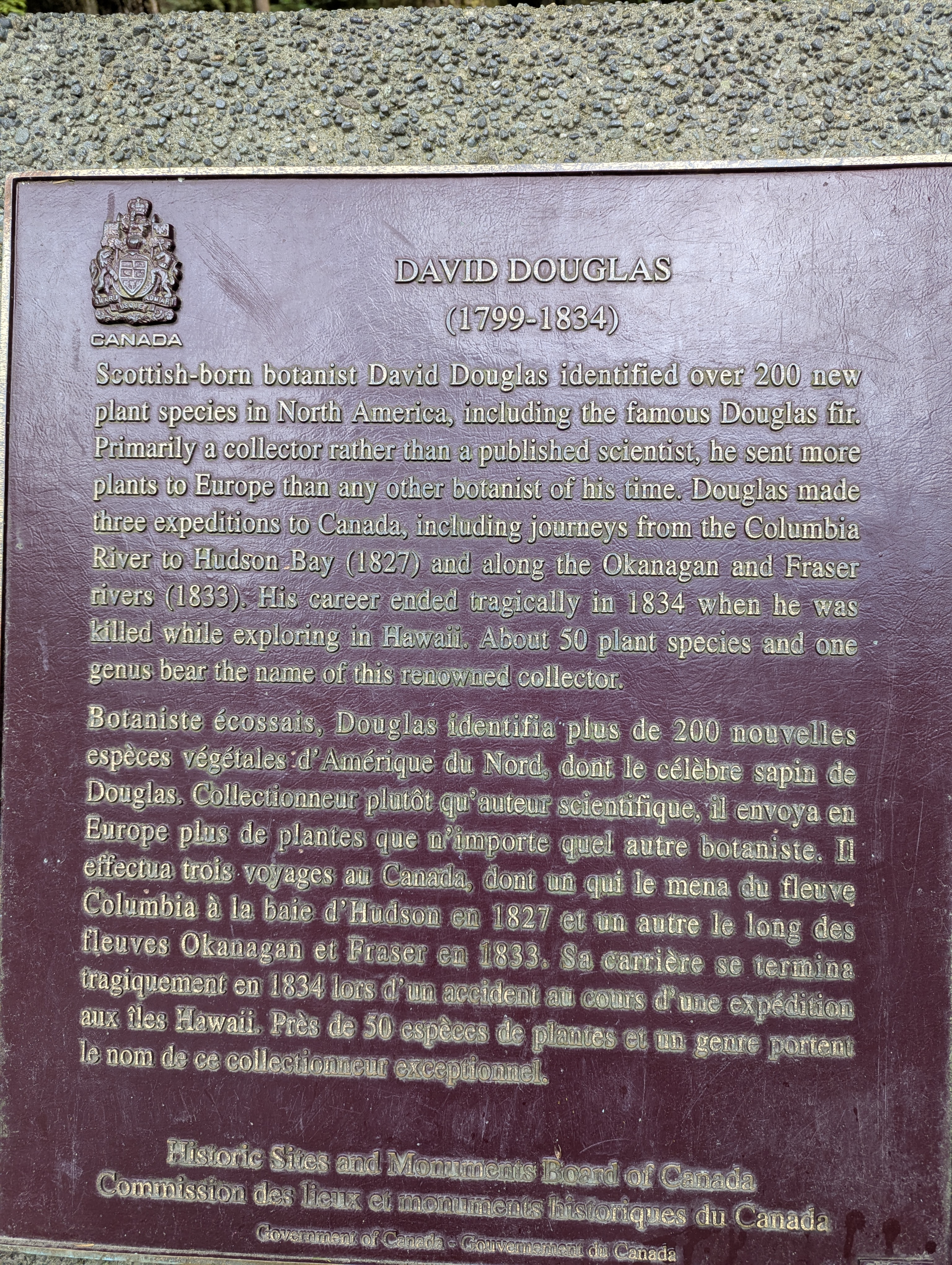 Birthday Trip to Canada, Cathedral Grove, Vancouver Island